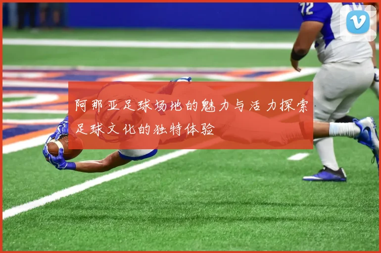 阿那亚足球场地的魅力与活力探索足球文化的独特体验