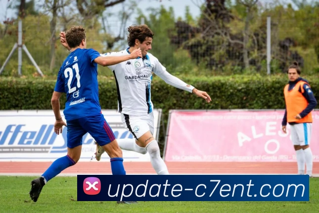 电子游戏平台生态图